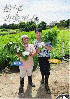 日韩偶像合作舞台 综艺在线观看